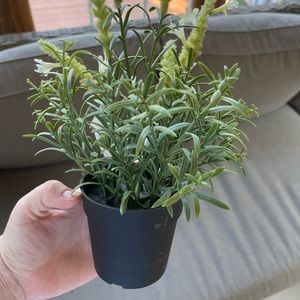 Fake ikea plant